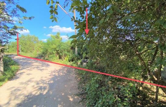 ����شøҹ� �� panaya.opalopal