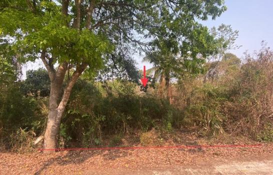 ����شøҹ� �� compos2566