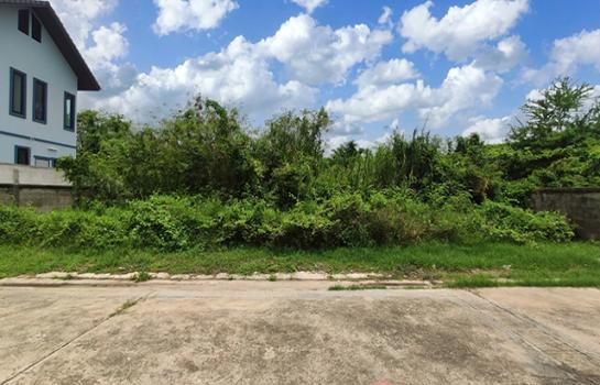 ��·��Թ bigc