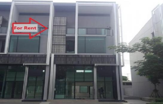 �Ҥ�þҳԪ����ѧ��� �ҧ��