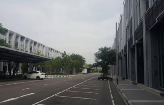 �Ҥ�þҳԪ�쨴����¹����ѷ�� �ҧ��