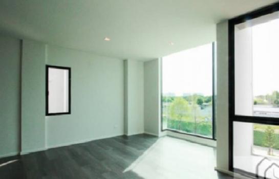 �Ҥ�þҳԪ���������� �ҧ��