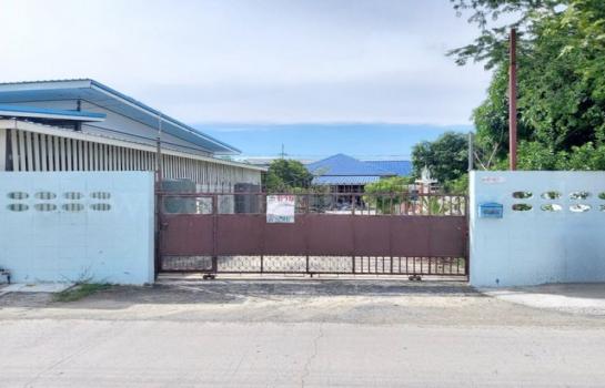 �����ҹ� �� ����ѷ �繷��� ��� ���;������ �ӡѴ