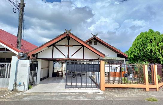 �Ң�ѭ �Ź�����