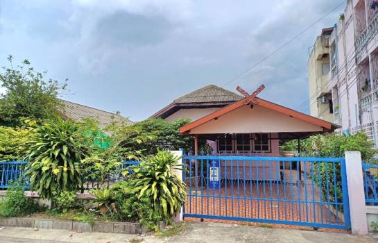 �Ң�ѭ �Ź�����