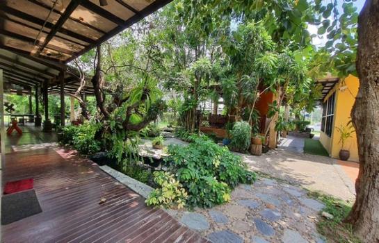 �ź��� �� Jyn Property