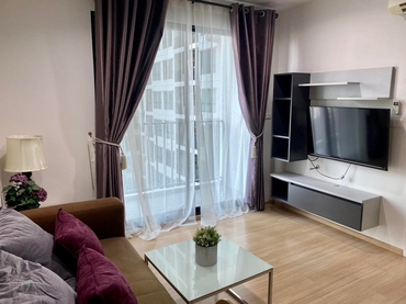 ���ͧ �� M Property