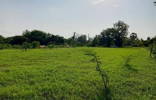 �ҧ�� �� northern1