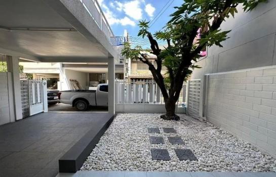 ���⢹� �� biw