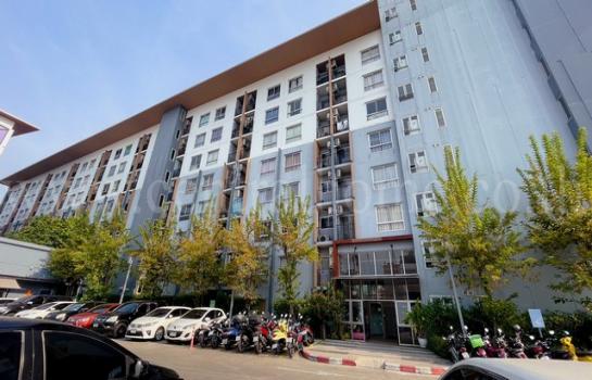 ����ѷ �繷��� ��� ���;������ �ӡѴ