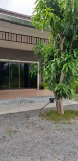 ��ҹ �����