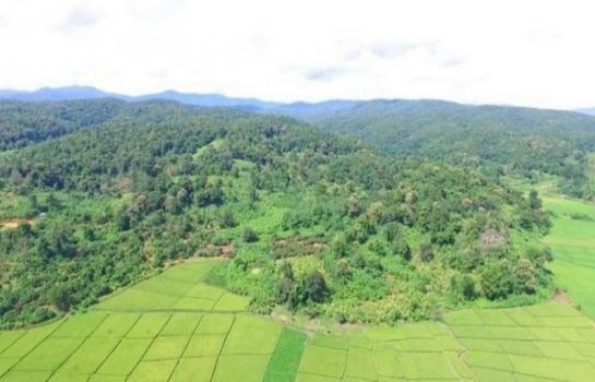 ���ᵧ �� northern1