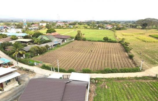 ������ �� onanong khumaphao