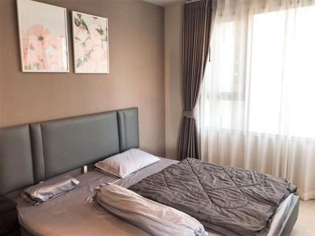 �Ҵ����� �� incube