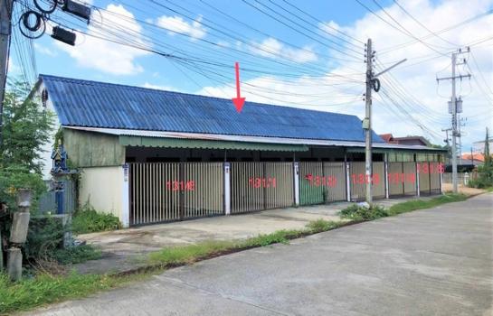 ��µҡ �� panaya.opalopal