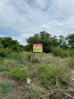 ��ا෾ �� zionasset1