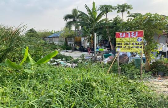 ��û�� �� zionasset1