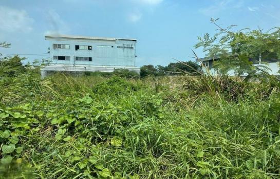 ���⢹� �� zionasset1