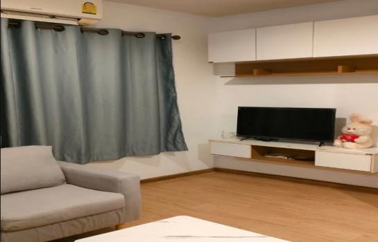 �ҧ�л� �� M Property