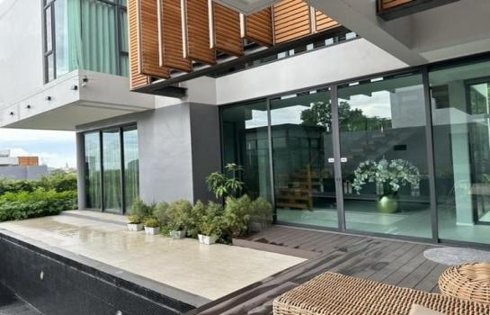 ��ҹ�����������¹�� �ź���