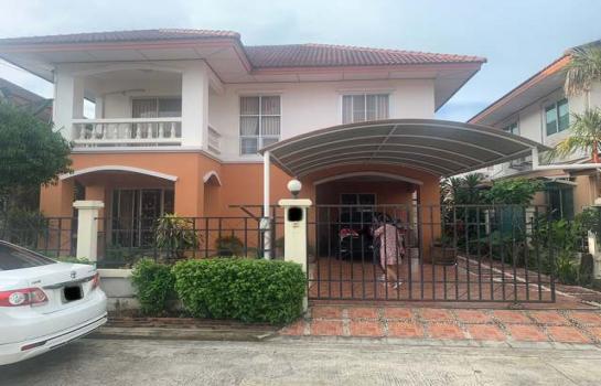 ��»����� �� naorinpl