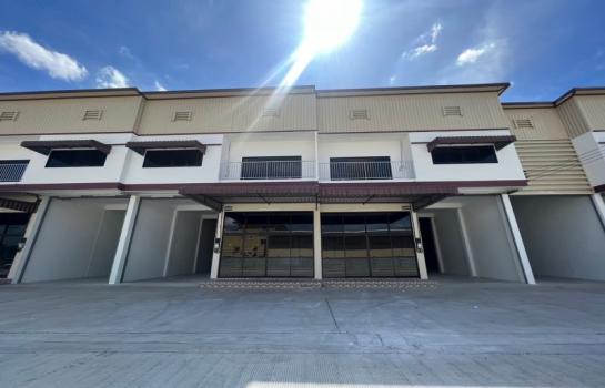 �����ҹ� �� 1000property