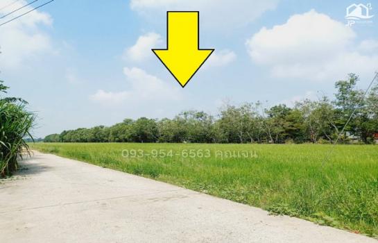 ������� �� janejane