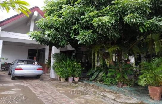 �ѹ���� �� northern1