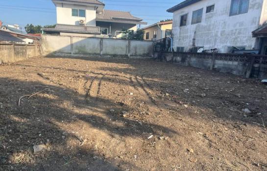 ��»����� �� asangha PL