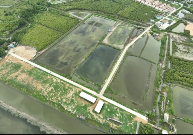 ���ͧ �� A House property