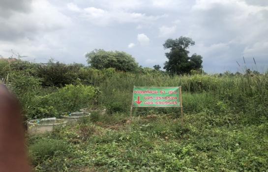 ���˹ͧ�͡ �� room168sub