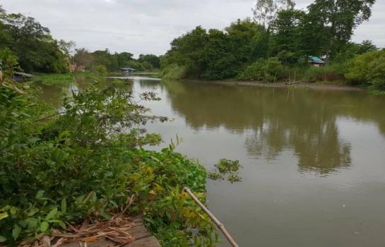 ž���� �� natanong78