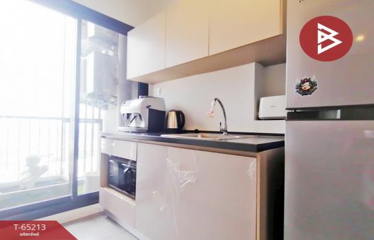 ��¤͹� ���ͧ�������