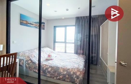 �͹ⴶ���ѵ�Ҹ����� ���ͧ�������