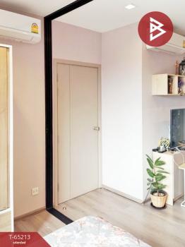 �͹����ͧ������� ���ͧ�������