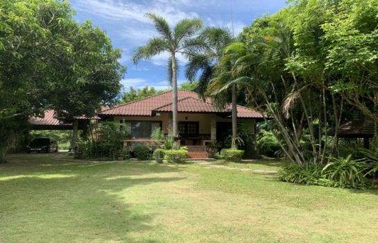 �ҭ������ �� Jyn Property