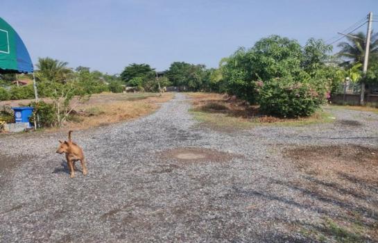 ���Թ MRT 20,000,000 �ҷ