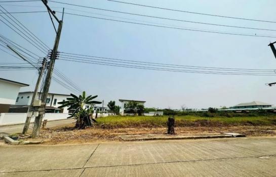 �ҧ�� �� onanong khumaphao