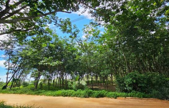 ˹ͧ���� �� Perfect Property1