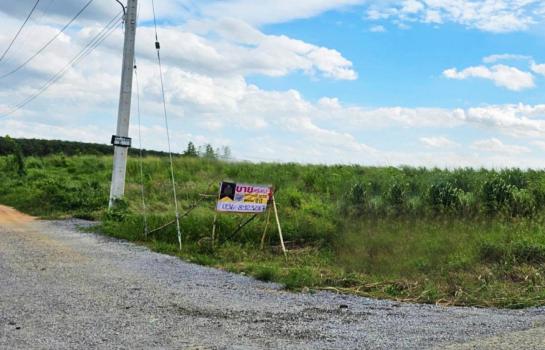 ˹ͧ���� �� Perfect Property1