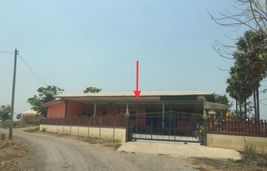 ����ʧ �� panaya.opalopal