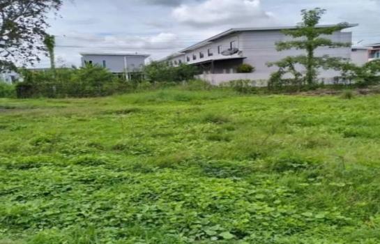 �ѹ���� �� northern1