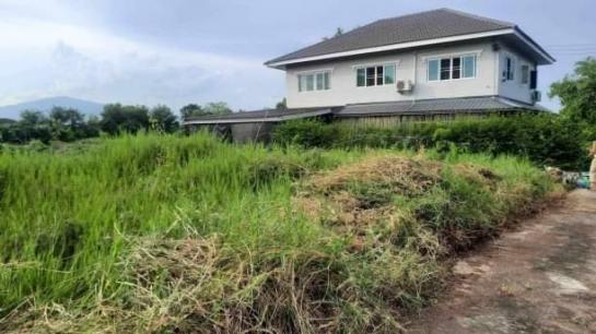 �ҧ�� �� northern1