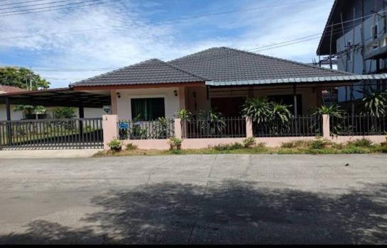 �ҧ�� �� ���Ծ�