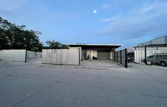 ��ا෾ �� Pukpik.TNC