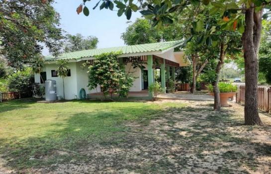 ������� �� onanong khumaphao