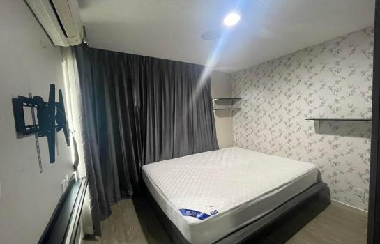 ��ا෾ �� SW ESTATE_Rental