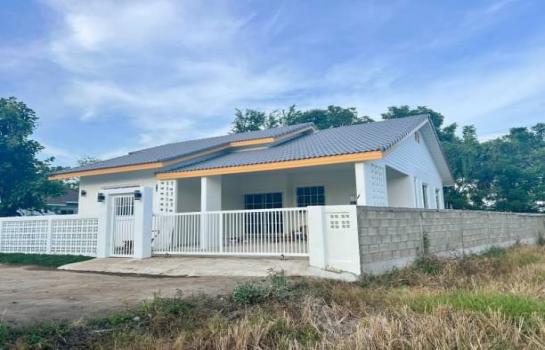 �ҧ�� �� northern1