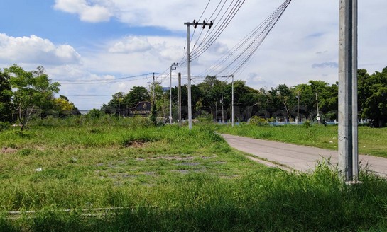 ที่ดิน lotus ที่ดิน lotus