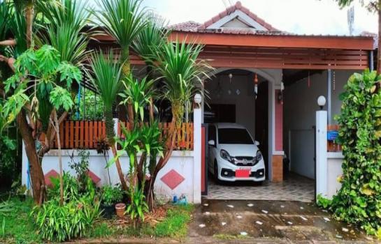 ��ªź��� �� Ingfar Pearkaew